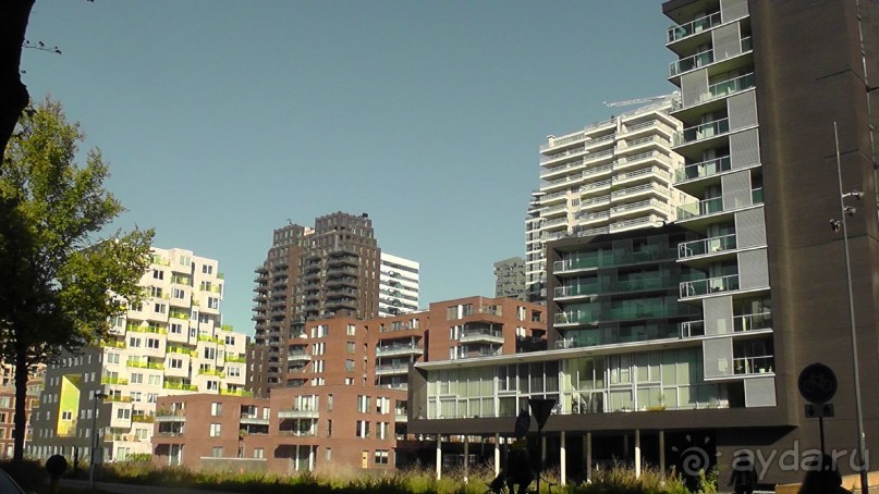 Бельгия, Нидерланды. «Гулять, так гулять!». Бытовые зарисовки.