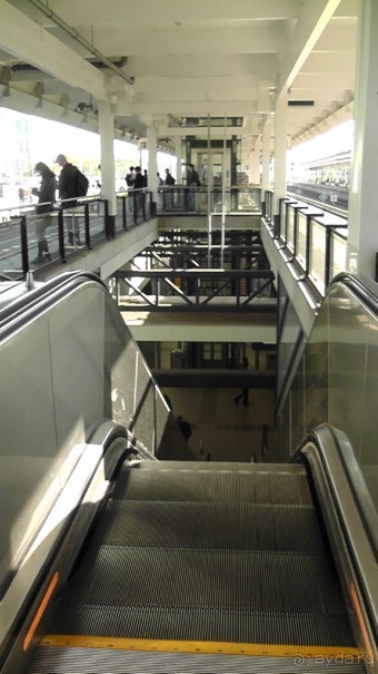 Бельгия, Нидерланды. «Гулять, так гулять!». Бытовые зарисовки.