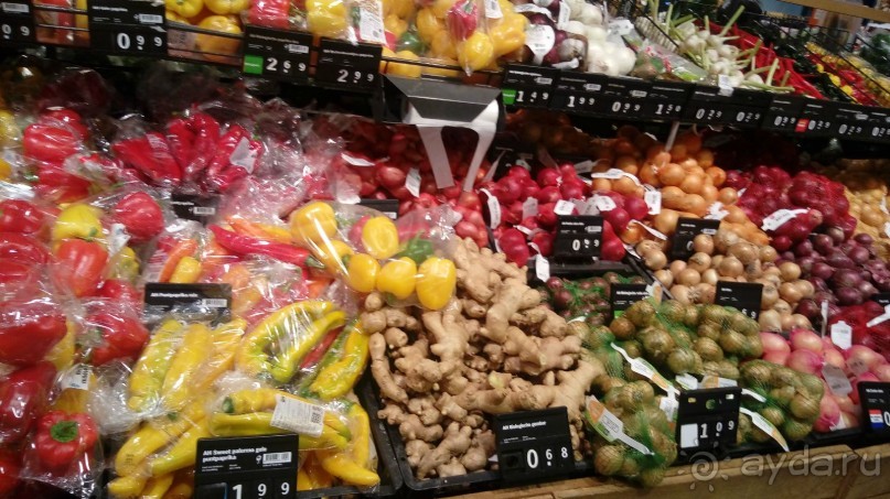 Бельгия, Нидерланды. «Гулять, так гулять!». Бытовые зарисовки.