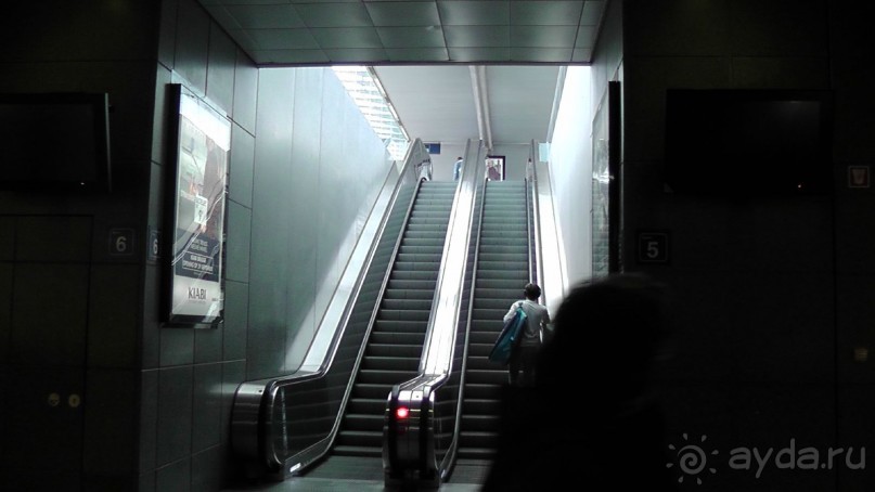 Бельгия, Нидерланды. «Гулять, так гулять!». Бытовые зарисовки.