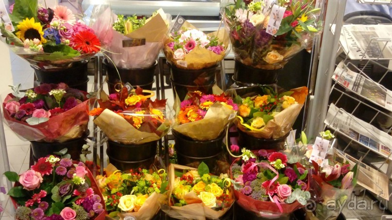 Бельгия, Нидерланды. «Гулять, так гулять!». Бытовые зарисовки.