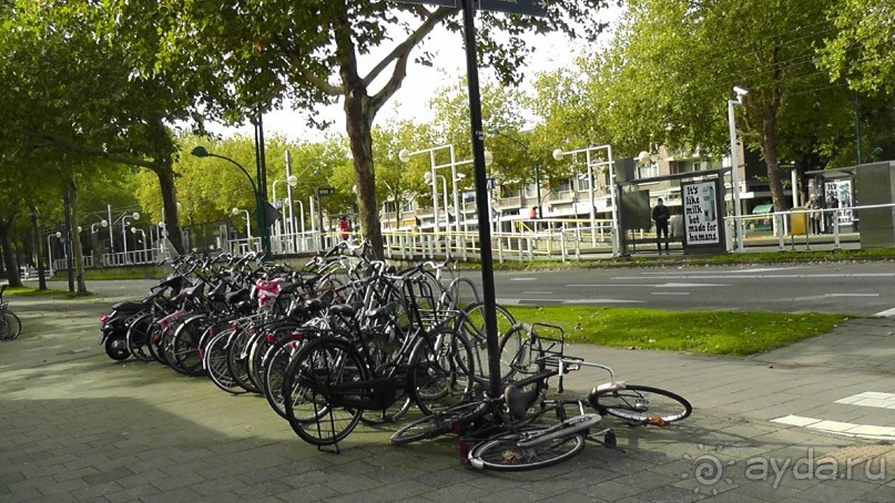 Бельгия, Нидерланды. «Гулять, так гулять!». Бытовые зарисовки.