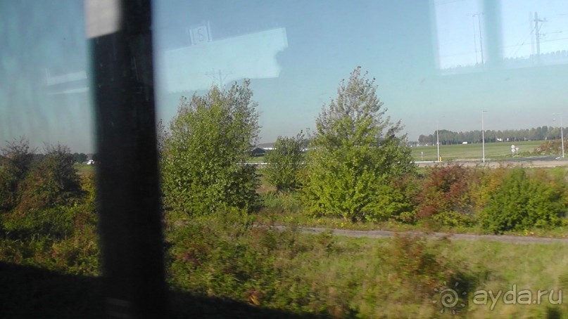 Бельгия, Нидерланды. «Гулять, так гулять!». Бытовые зарисовки.