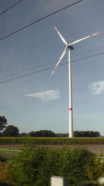 Бельгия, Нидерланды. «Гулять, так гулять!». Бытовые зарисовки.