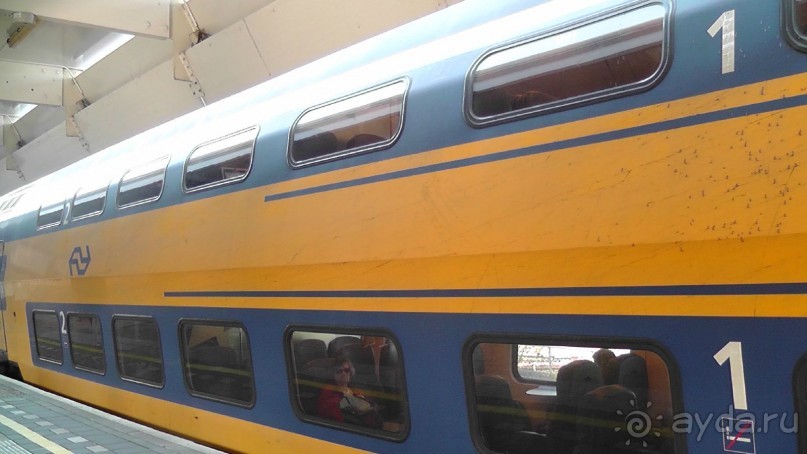 Бельгия, Нидерланды. «Гулять, так гулять!». Бытовые зарисовки.