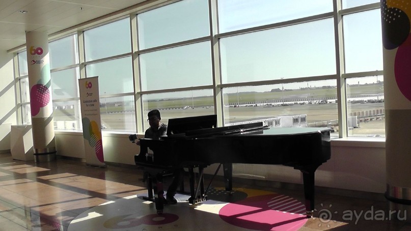 Бельгия, Нидерланды. «Гулять, так гулять!». Бытовые зарисовки.