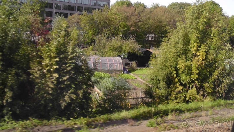 Бельгия, Нидерланды. «Гулять, так гулять!». Бытовые зарисовки.