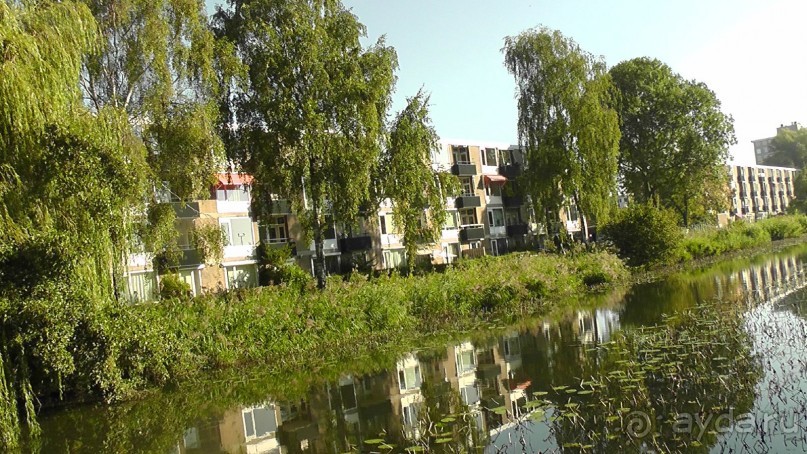 Бельгия, Нидерланды. «Гулять, так гулять!». Бытовые зарисовки.