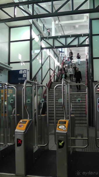 Бельгия, Нидерланды. «Гулять, так гулять!». Бытовые зарисовки.