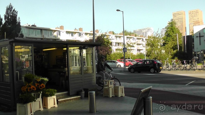 Бельгия, Нидерланды. «Гулять, так гулять!». Бытовые зарисовки.