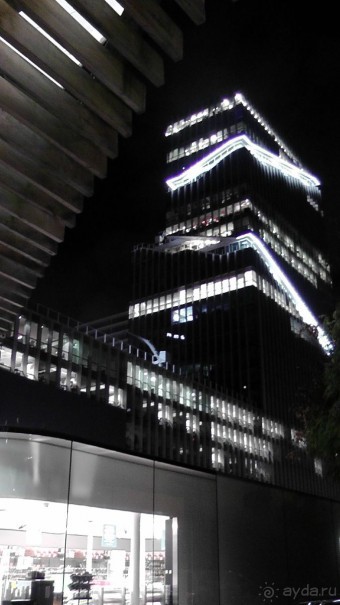 Бельгия, Нидерланды. «Гулять, так гулять!». Бытовые зарисовки.