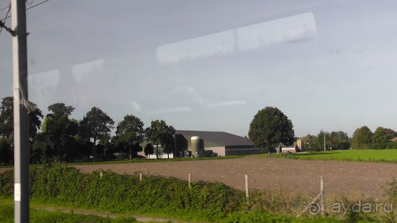 Бельгия, Нидерланды. «Гулять, так гулять!». Бытовые зарисовки.