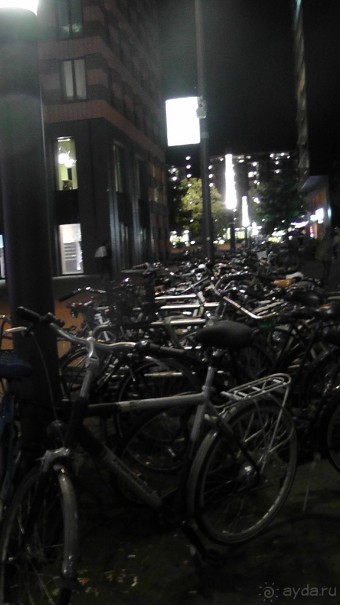 Бельгия, Нидерланды. «Гулять, так гулять!». Бытовые зарисовки.