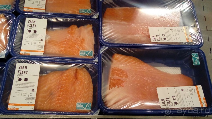 Бельгия, Нидерланды. «Гулять, так гулять!». Бытовые зарисовки.