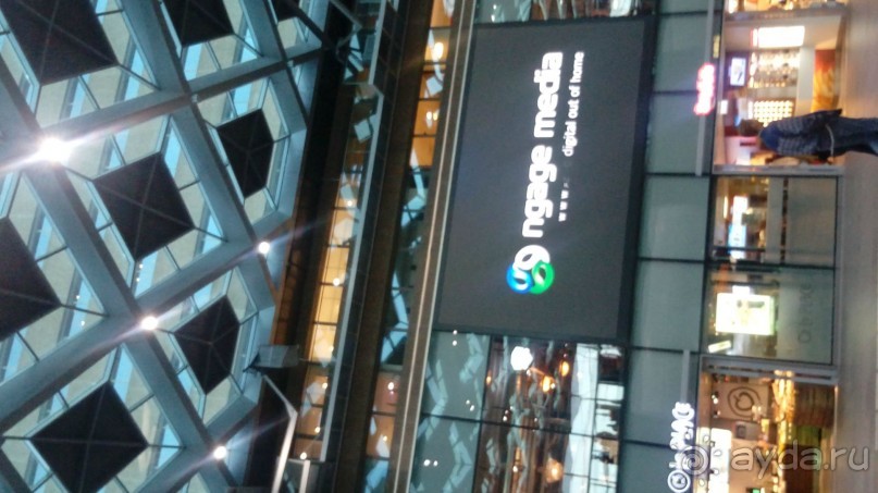 Бельгия, Нидерланды. «Гулять, так гулять!». Бытовые зарисовки.