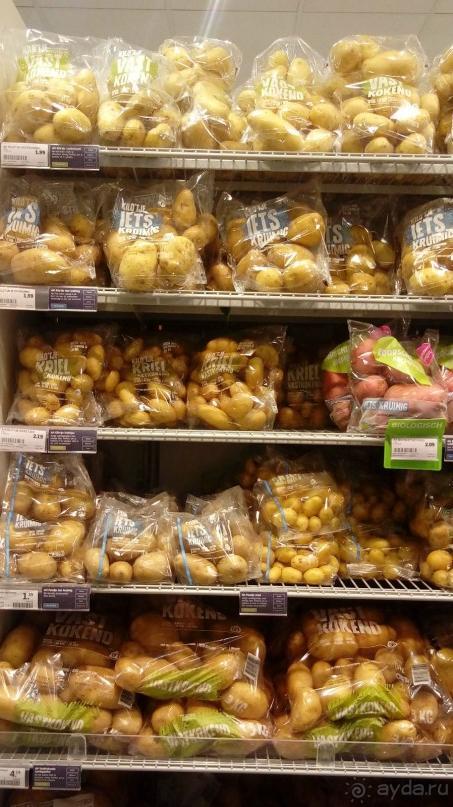 Бельгия, Нидерланды. «Гулять, так гулять!». Бытовые зарисовки.