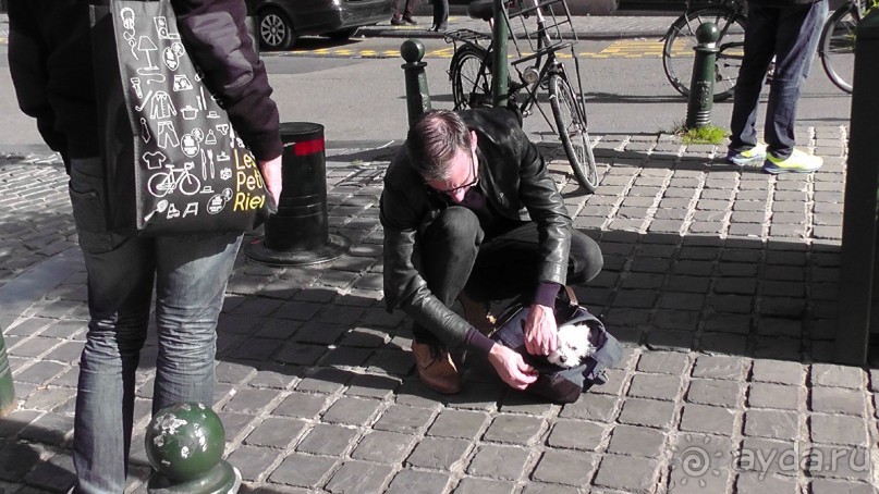 Брюссель, Бельгия. «Гулять, так гулять!». Еврогород с «чревом» - Верхний Город.