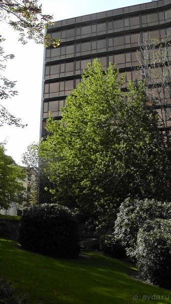 Брюссель, Бельгия. «Гулять, так гулять!». Еврогород с «чревом» - Верхний Город.