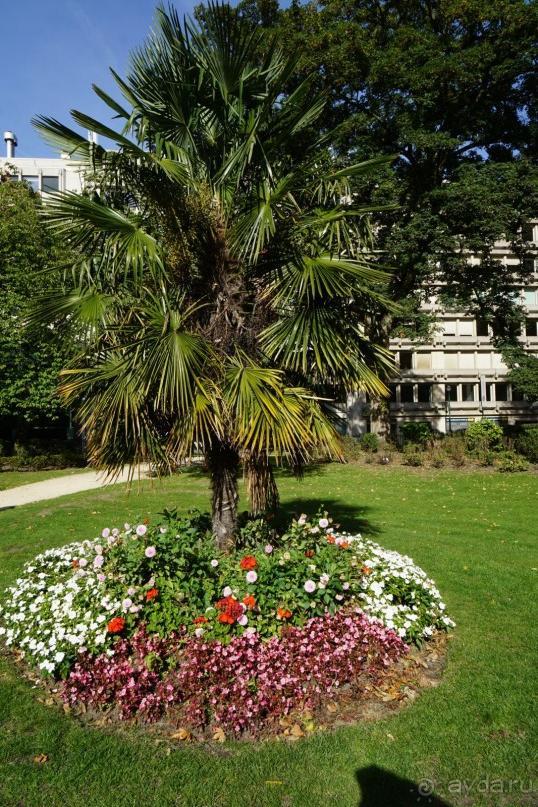 Брюссель, Бельгия. «Гулять, так гулять!». Еврогород с «чревом» - Верхний Город.