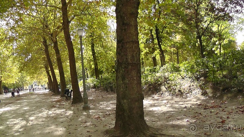 Брюссель, Бельгия. «Гулять, так гулять!». Еврогород с «чревом» - Верхний Город.