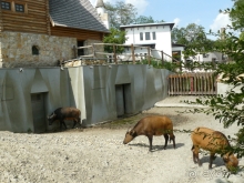 фото Bella Casita Family Apartments