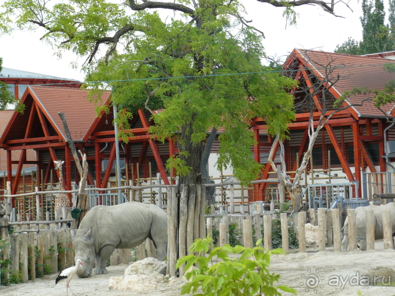 фото Bella Casita Family Apartments