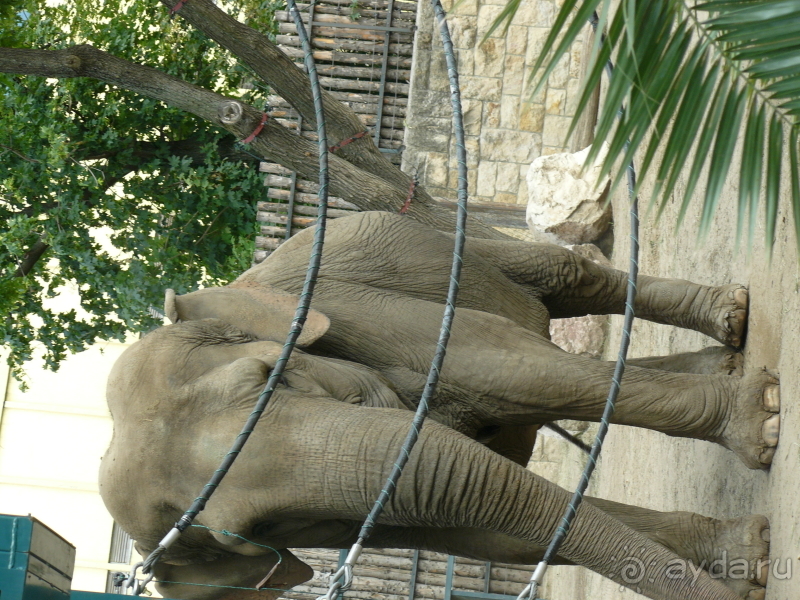 фото Bella Casita Family Apartments