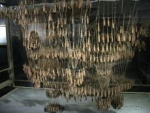 Барселона – сияющая красавица у моря!