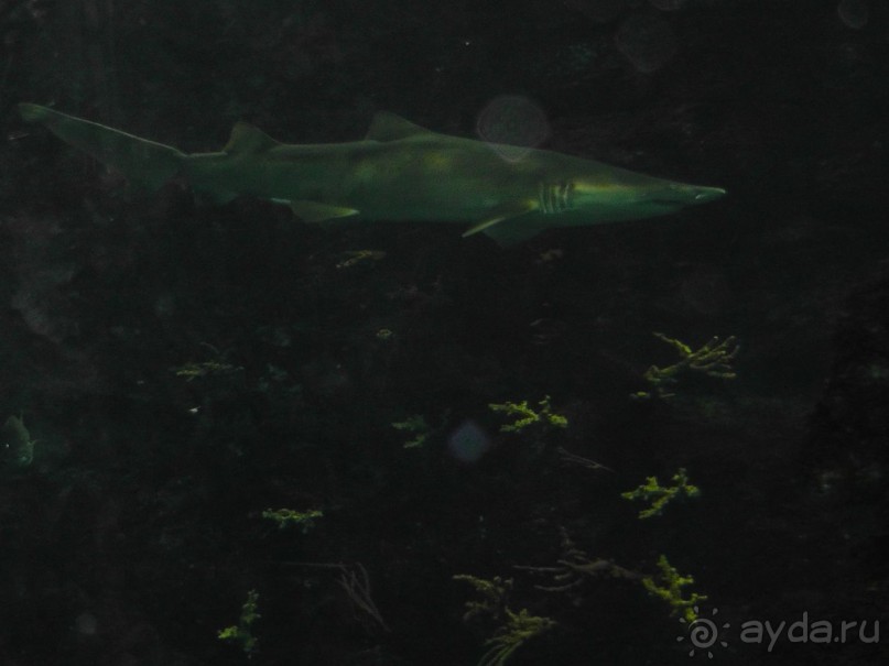 Барселона – сияющая красавица у моря!