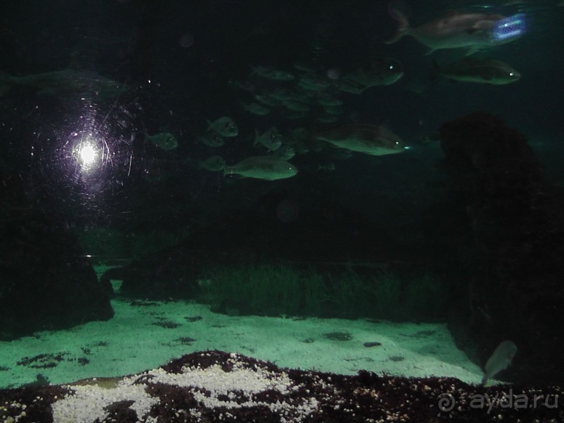 Барселона – сияющая красавица у моря!