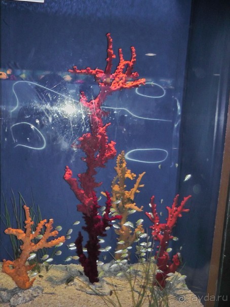 Барселона – сияющая красавица у моря!