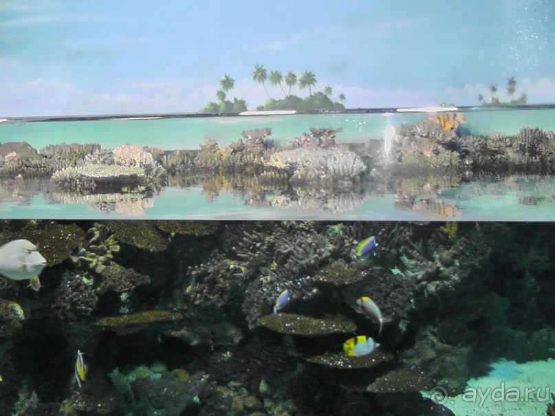 Барселона – сияющая красавица у моря!