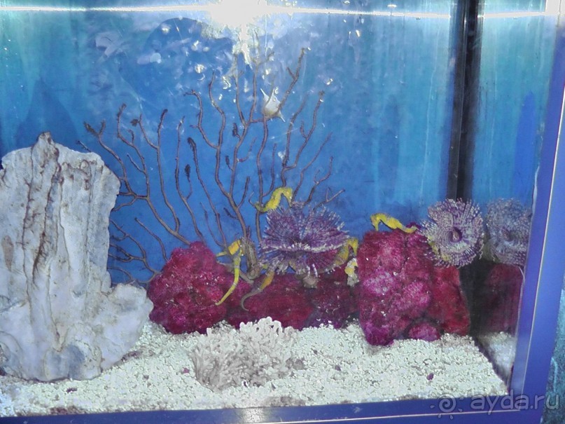 Барселона – сияющая красавица у моря!