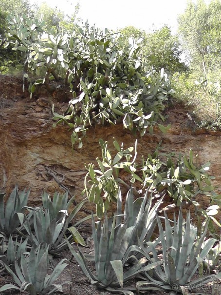 Барселона – сияющая красавица у моря!