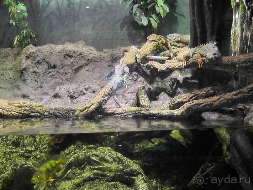 Барселона – сияющая красавица у моря!