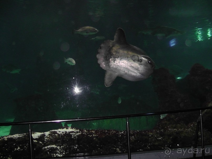 Барселона – сияющая красавица у моря!