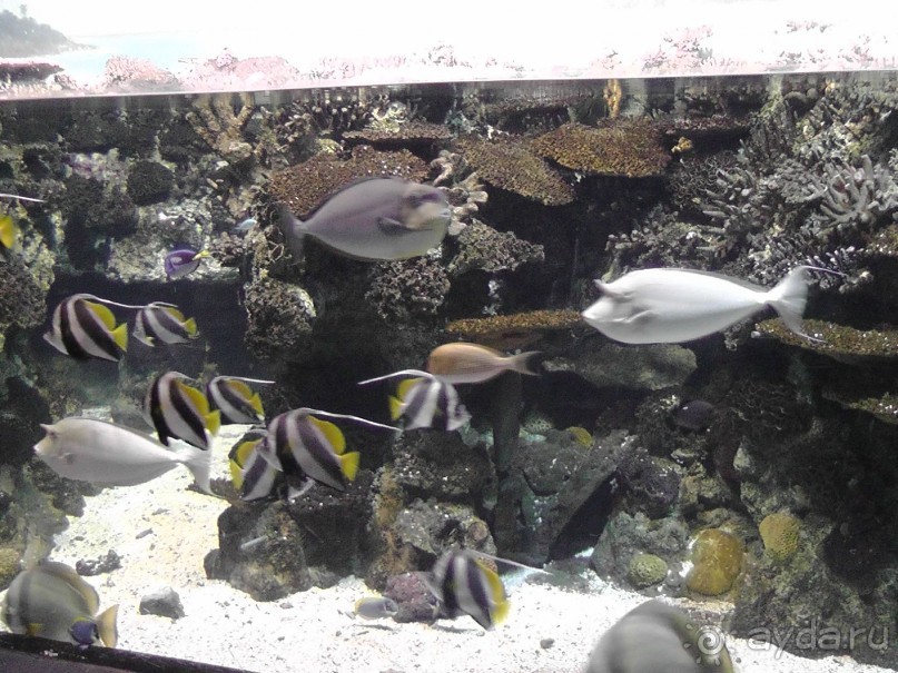 Барселона – сияющая красавица у моря!