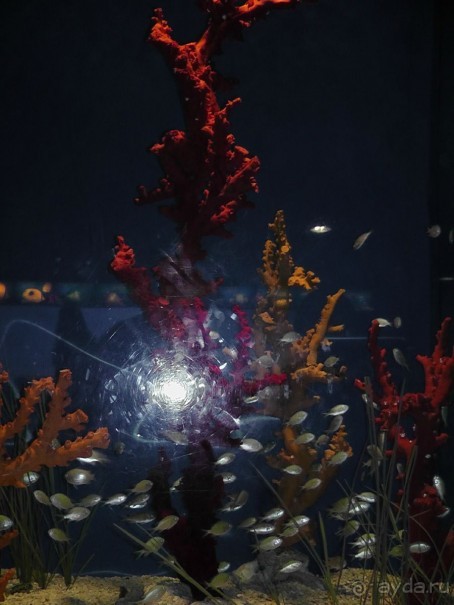 Барселона – сияющая красавица у моря!