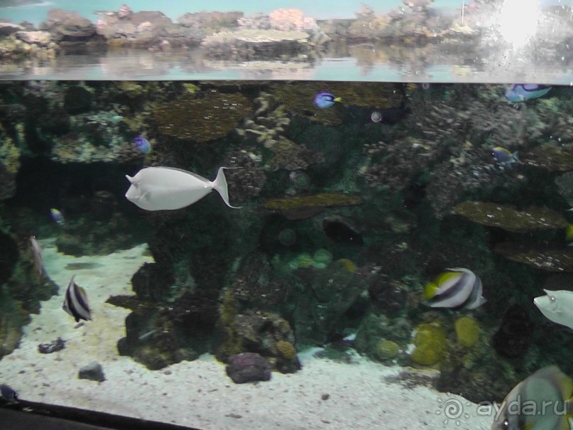 Барселона – сияющая красавица у моря!