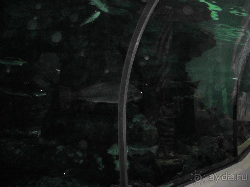 Барселона – сияющая красавица у моря!