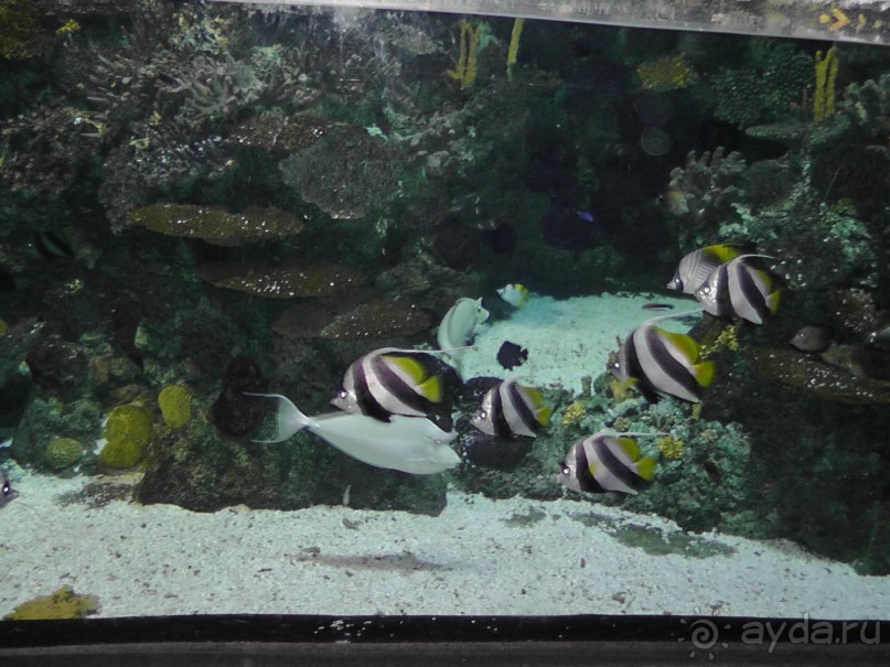 Барселона – сияющая красавица у моря!