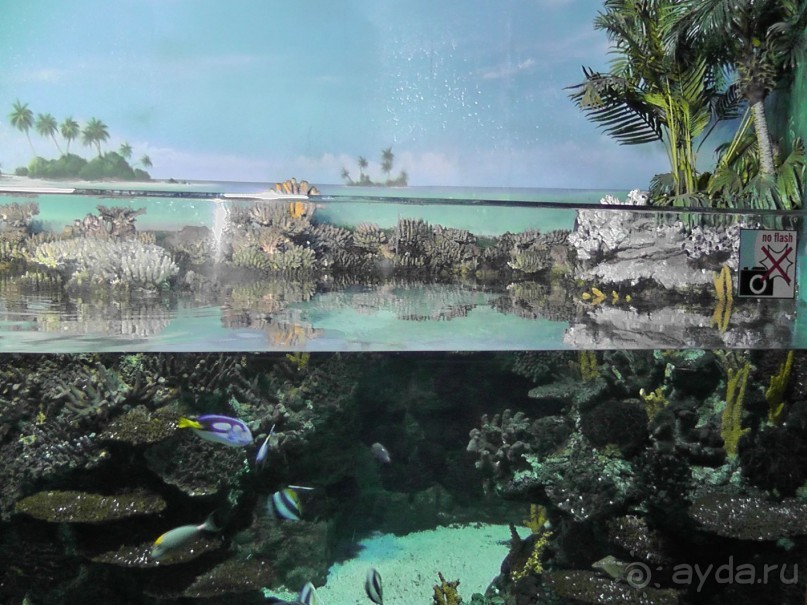 Барселона – сияющая красавица у моря!