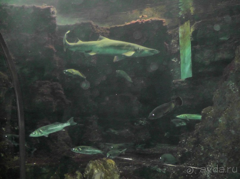 Барселона – сияющая красавица у моря!