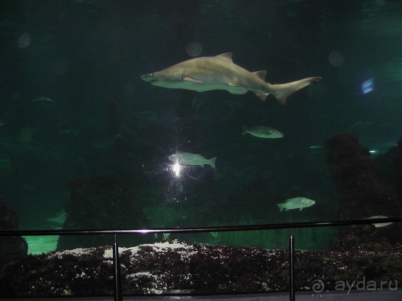 Барселона – сияющая красавица у моря!