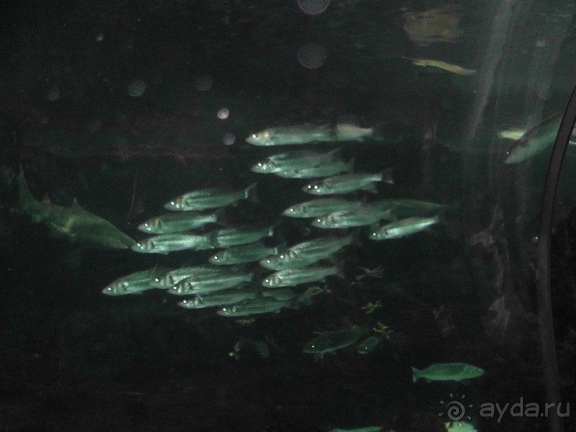 Барселона – сияющая красавица у моря!