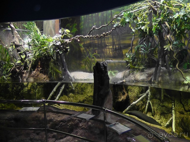 Барселона – сияющая красавица у моря!