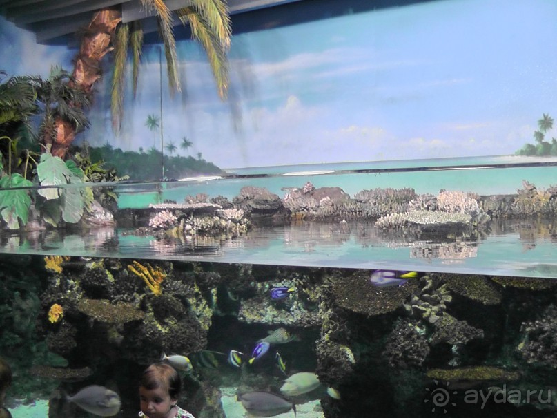 Барселона – сияющая красавица у моря!