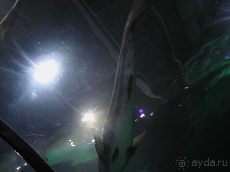 Барселона – сияющая красавица у моря!