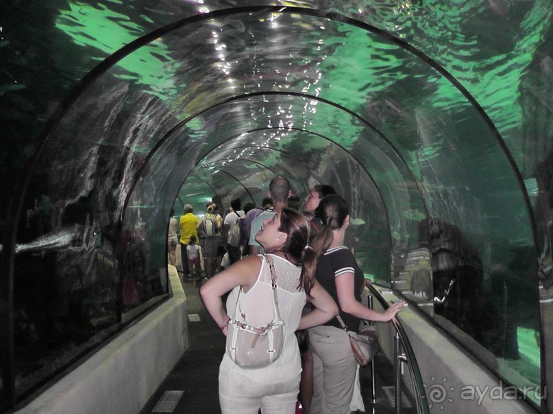 Барселона – сияющая красавица у моря!