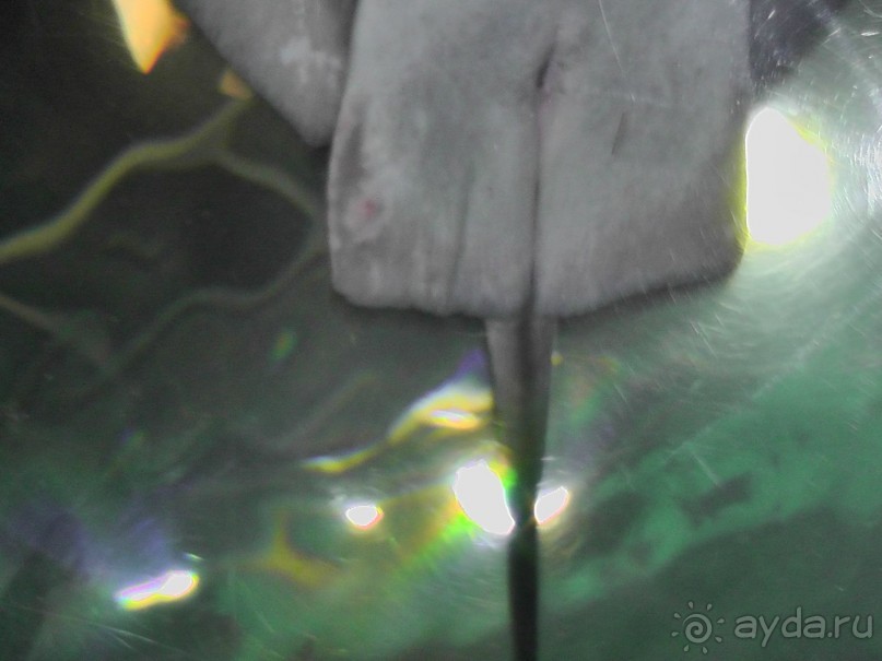 Барселона – сияющая красавица у моря!